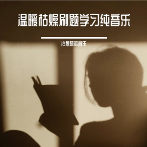 夜晚刷题宝藏放松轻音乐