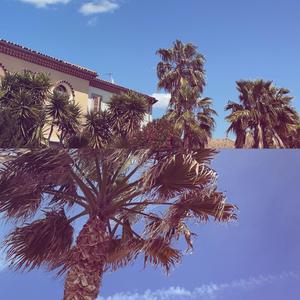 hollup (feat. Yung Sherlok)