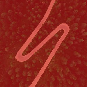 柔和的温泉时刻