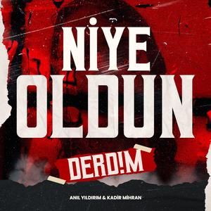 Niye Oldun Derdim (feat. Kadir Mihran)