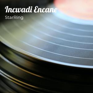 Incwadi Encane