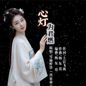 心灯为君燃-（雪地野草）
