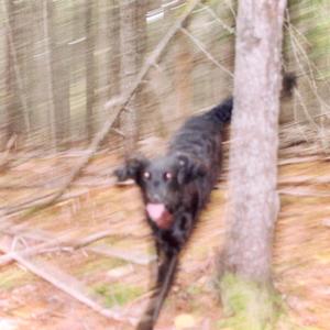 Spaghetti For Dinner