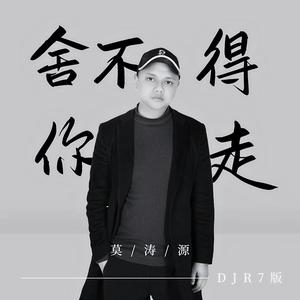 舍不得你走(DJ R7版)