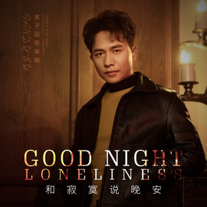 和寂寞说晚安