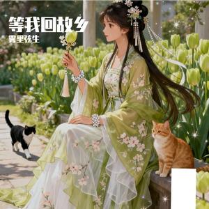 《等我回故乡》