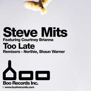 Too Late (Shaun Warner)