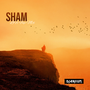SHAM (LoFi Flip Mix)