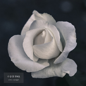 난 당신을 원해요