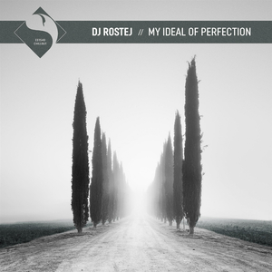 My Ideal of Perfection (Original Mix)