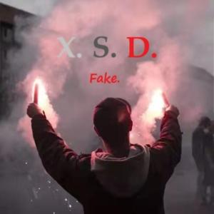 X.S.D
