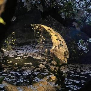 马马马C波  (以爱之名你还愿意吗DJ)