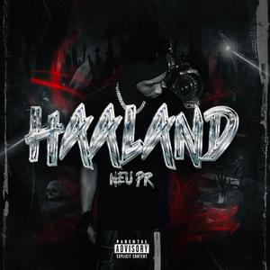 HAALAND