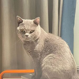 黑猫儿freestyle！