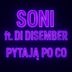 Pytają Po Co (feat. DI DISEMBER)