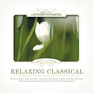 Suite No. 7 in G Minor, HWV 432: Passacaglia