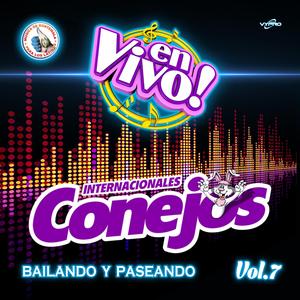 El Mix Más Chingón: Vamos a la Conga / El Sonidito / Menéalo / Popotitos / El Mechón