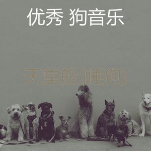 狗-服从