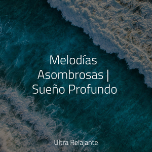 Alas De Mariposa Y Cosas