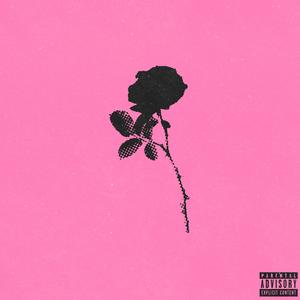 Rosas