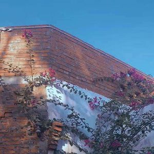 街角的钟摆_取东