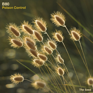 Cottonmouth (Original Mix)