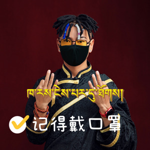抗击疫情 西藏加油