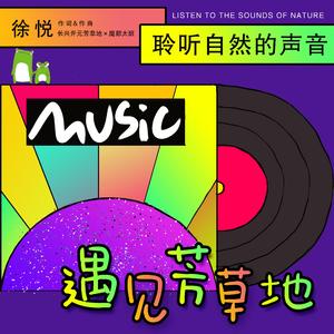 遇见芳草地伴奏