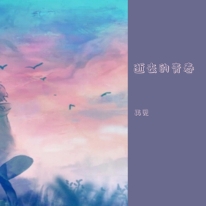 逝去的青春(Live)