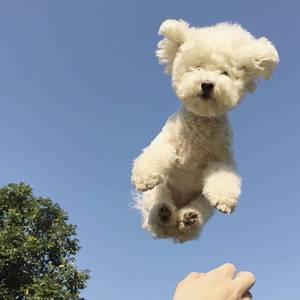 我一点都不想你