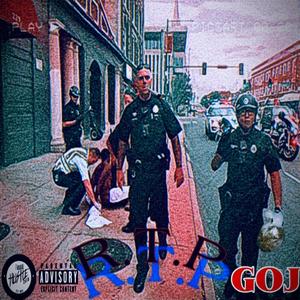 RTP (Record The Police)