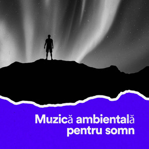 Împrejurimi pașnice (Ambientală)