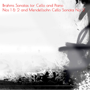 Sonata for Cello and Piano No. 1 in E Minor, Op. 38: III. Allegro non troppo