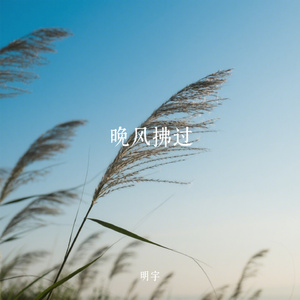 晚风拂过
