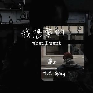 我想要的