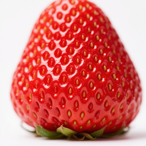 Besar Angin Hutan Membawa