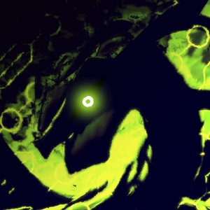 RAYQUAZA