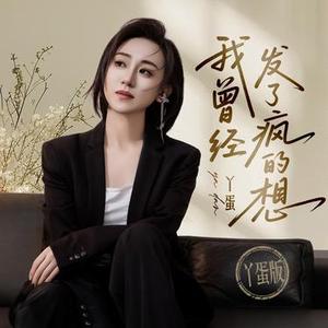 我曾经发了疯的想 (DJ版)