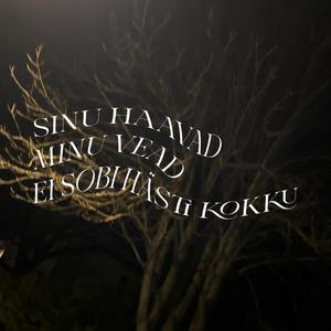 sinu haavad minu vead ei sobi hästi kokku
