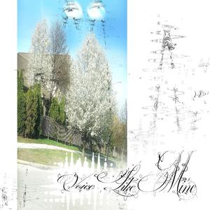 voice like mine