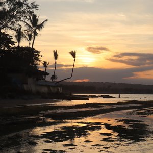 La Playita