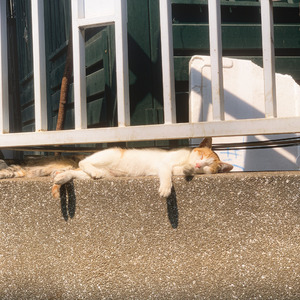 [FREE] "廖楚君" | 可爱+清新+夏日 风格 beat