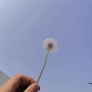 在喝一杯江小白