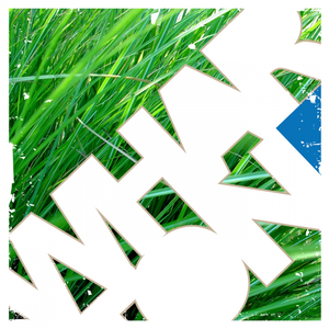 Back Seat Driver (Original Mix)