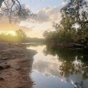 回来这么久也不通知我