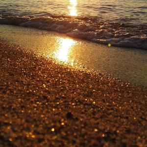 做个俗人不谈情