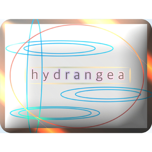 hydrangea