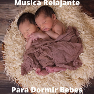 Bebe Dormido