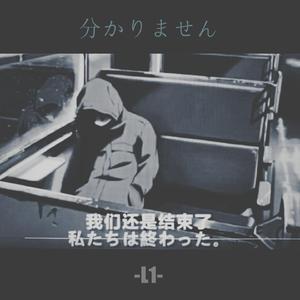 分かりません （我不明白）