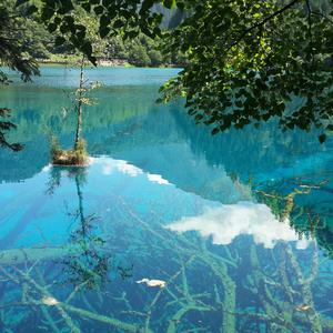 四块五 音频.wav